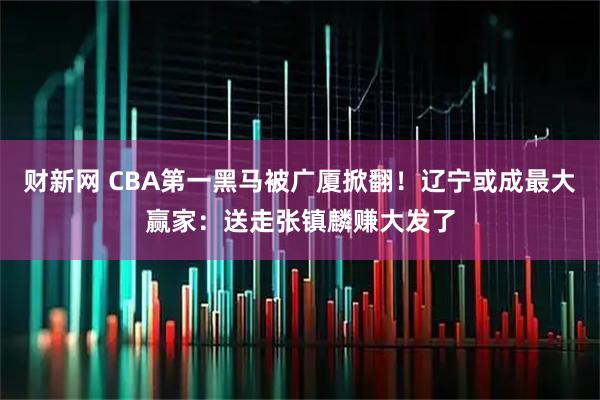 财新网 CBA第一黑马被广厦掀翻！辽宁或成最大赢家：送走张镇麟赚大发了
