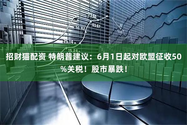 招财猫配资 特朗普建议：6月1日起对欧盟征收50%关税！股市暴跌！