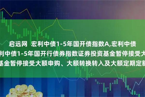 启远网  宏利中债1-5年国开债指数A,宏利中债1-5年国开债指数C: 宏利中债1-5年国开行债券指数证券投资基金暂停接受大额申购、大额转换转入及大额定期定额投资业务的公告