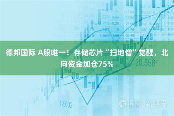 德邦国际 A股唯一！存储芯片“扫地僧”觉醒，北向资金加仓75%